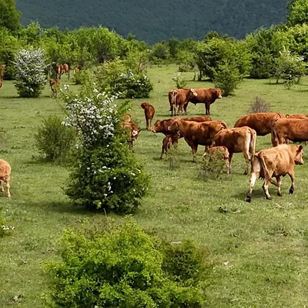 Bioland * Kulen Vakuf